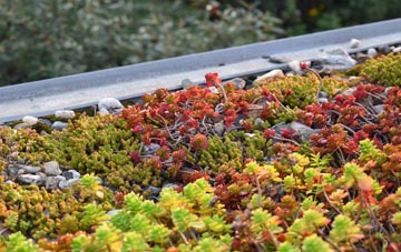 the cost of Birchills green roof installation