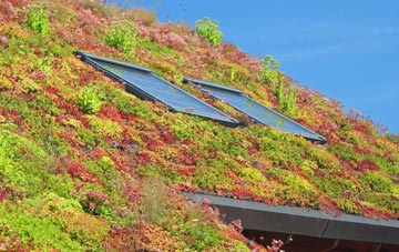 Birchills living roof systems